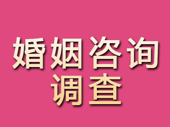 广饶婚姻咨询调查